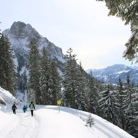 Falkenstein - Ruhige Familienfreundliche 3-zimmer-ferienwohnung Mit Alpenpanorama In Mitte Appartamento *