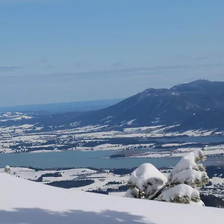 Falkenstein - Ruhige Familienfreundliche 3-zimmer-ferienwohnung Mit Alpenpanorama In Mitte